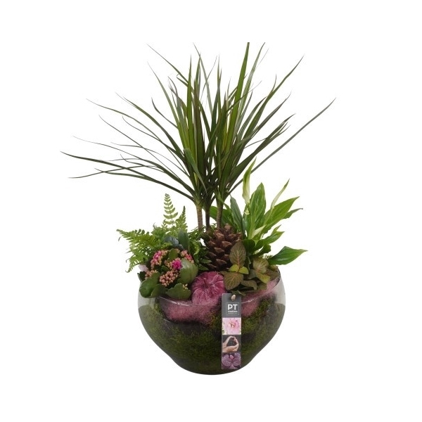 <h4>PTHG3408 Arrangement Autumn Glass in glas schaal</h4>