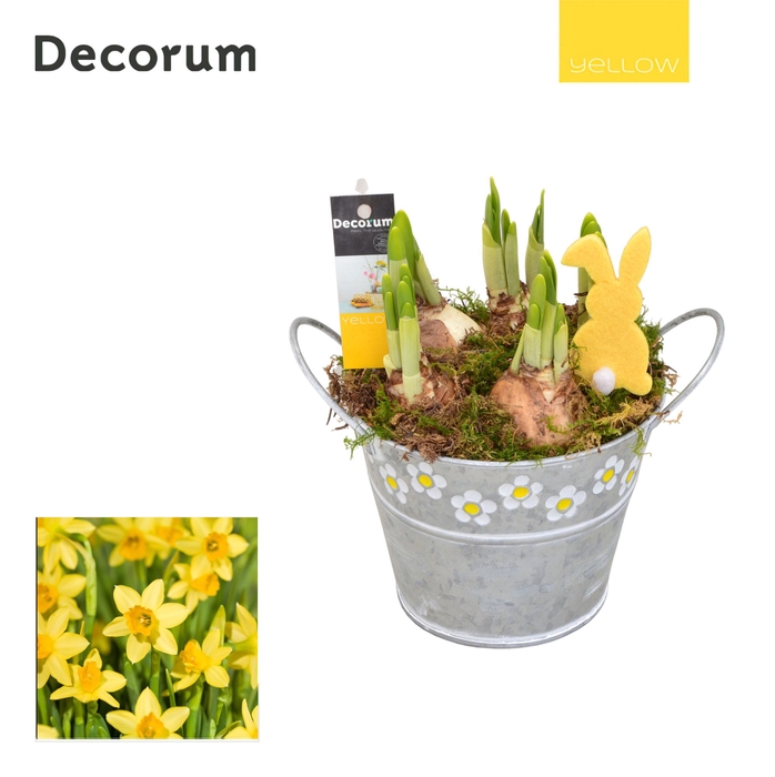 <h4>Narcis Spring Bucket Maxi HL18545 [YELLOW]</h4>