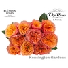 R GR KENSIN GARDENS! x 20
