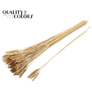Triticum 3pc/Tuft Natural