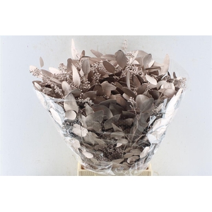 Euca Populus Berry Metal Champagne