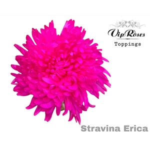 CHR G STRAVINA ERICA