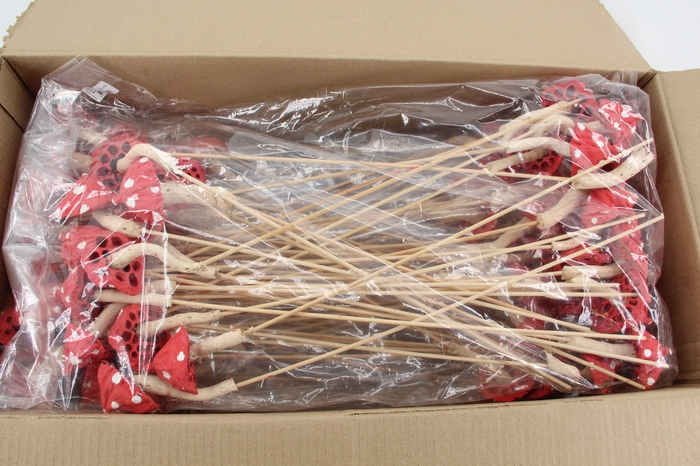 <h4>Stick Mushroom Lotus Red</h4>