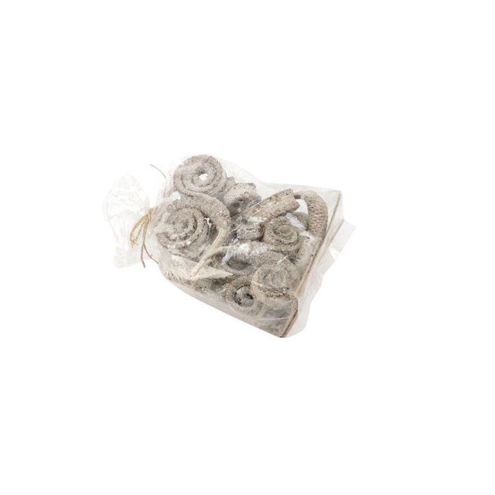 <h4>Palm Male 10Pcs</h4>