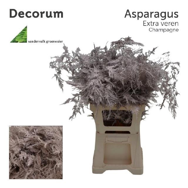 <h4>ASP OV KLB H%</h4>