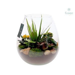 Green Bottle Abby XLarge met arrangement