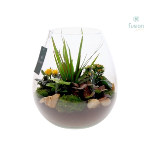 Green Bottle Abby XLarge met arrangement