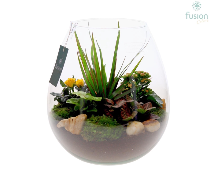 <h4>Green Bottle Abby XLarge met arrangement</h4>