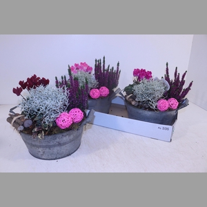ARR TUINPLANTEN