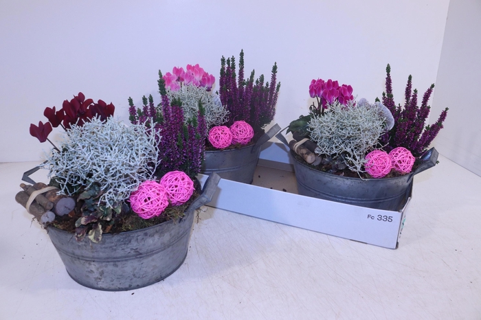 <h4>ARR TUINPLANTEN</h4>
