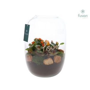 Green Bottle Isabella XLarge Love met arrangement