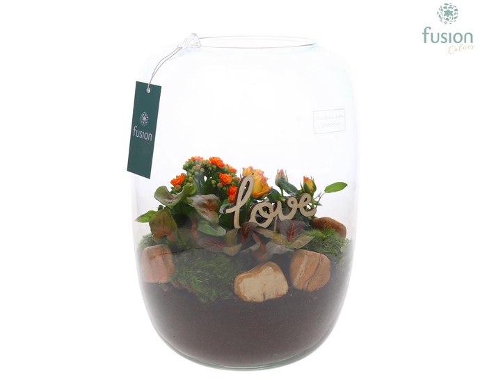 <h4>Green Bottle Isabella XLarge Love met arrangement</h4>