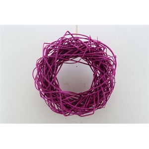 Wr Cornus Painted Cerise 45cm