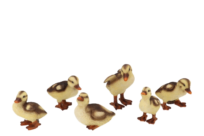 Baby Duck Ass 10x6x10cm