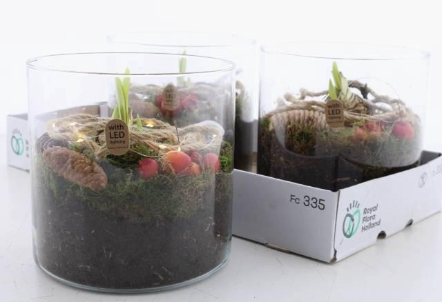 <h4>ARR BOL KNOLGEWAS</h4>