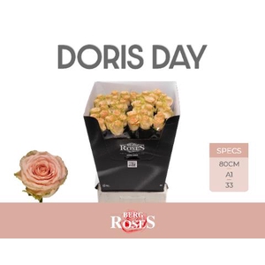 R GR DORIS DAY