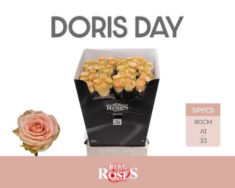 R GR DORIS DAY