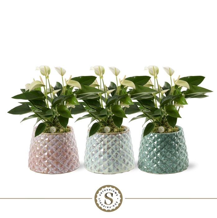 <h4>Florence Keramiek White</h4>