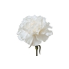 CRAVO RANDAL 070 CM BRANCO