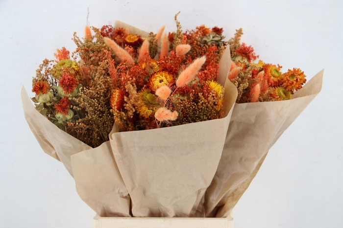 <h4>GEM BOEKET OV</h4>