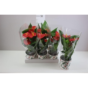 Anth An Rood Keramiek Noel