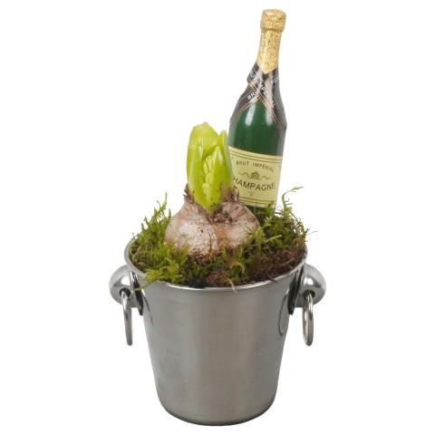 <h4>PTON7901 Arrangementen kamerplanten</h4>