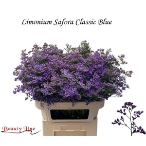 LIM SAF CLASSIC BLUE