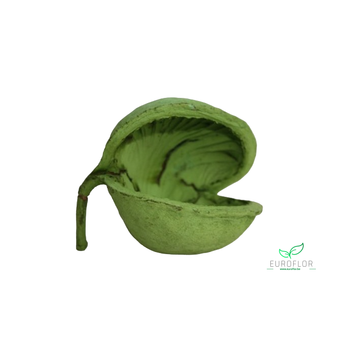 <h4>BUDDHA NUTS APPELGROEN 5pcs</h4>