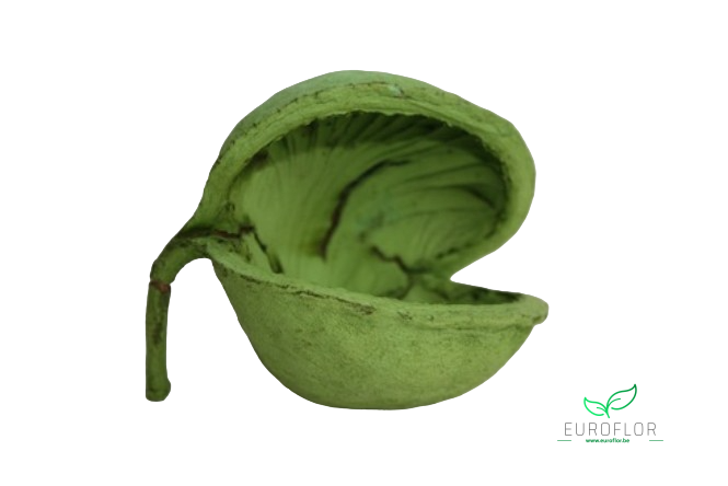 BUDDHA NUTS APPELGROEN 5pcs