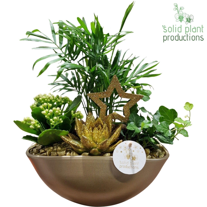 <h4>CE005 Eyleen Gold</h4>