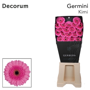 Germini Kimi Diamond