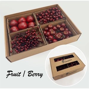 Zijde Fruit Box Rood Mix