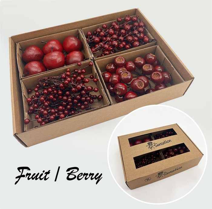 <h4>Zijde Fruit Box Rood Mix</h4>