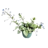 Brunnera