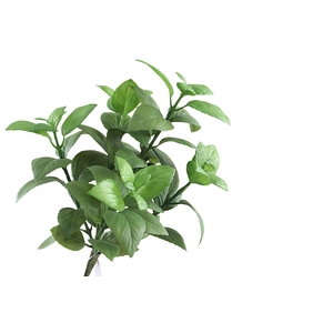 Basilicum Bush Green