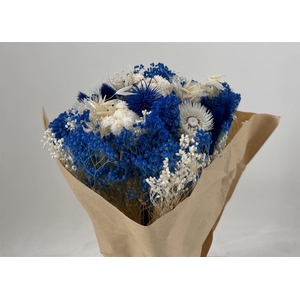 Dr Bqt Bleach Big Blue Naturale