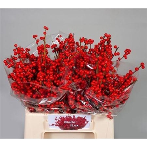 Ilex Ve Rode Bes 40cm