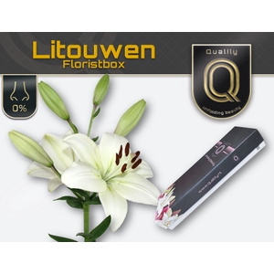 LI LA LITOUWEN MAGNUM FLORISTBOX 5+