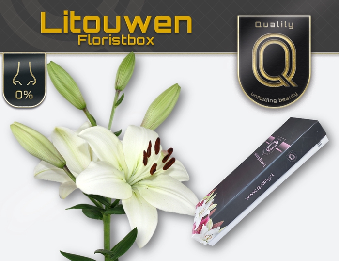 <h4>LI LA LITOUWEN MAGNUM FLORISTBOX 5+</h4>