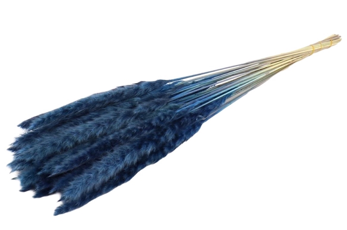 Bunch Fluffy Pampas Sleeved 70g L70