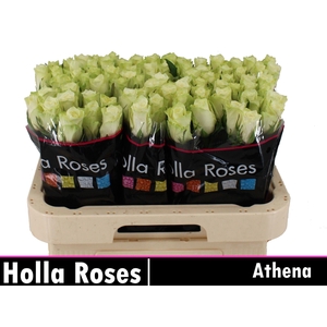 R GR ATHENA