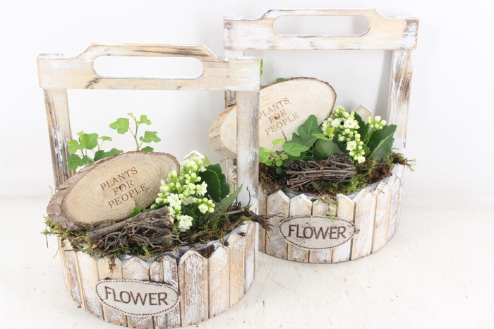 Arr2 Td - Hout Planter Half Rond - Wit