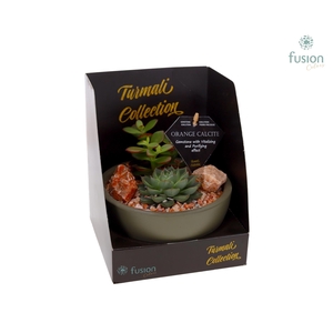 Schaal keramiek Moon Small groen Turmali Collection edelstenen met Succulenten