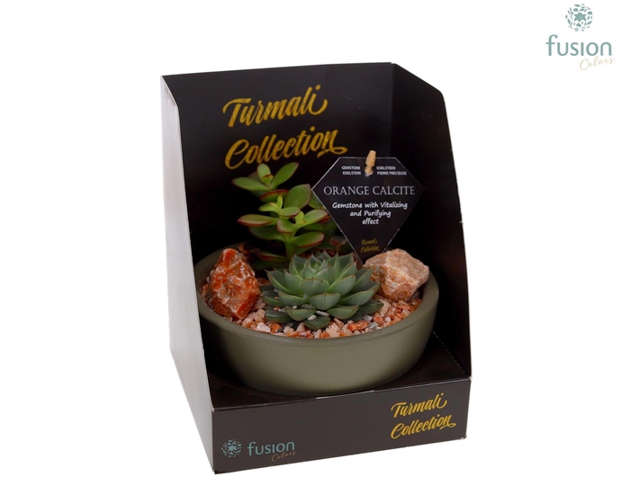 <h4>Schaal keramiek Moon Small groen Turmali Collection edelstenen met Succulenten</h4>