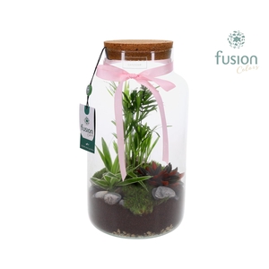 Green Bottle Pot Large Love met Arrangement