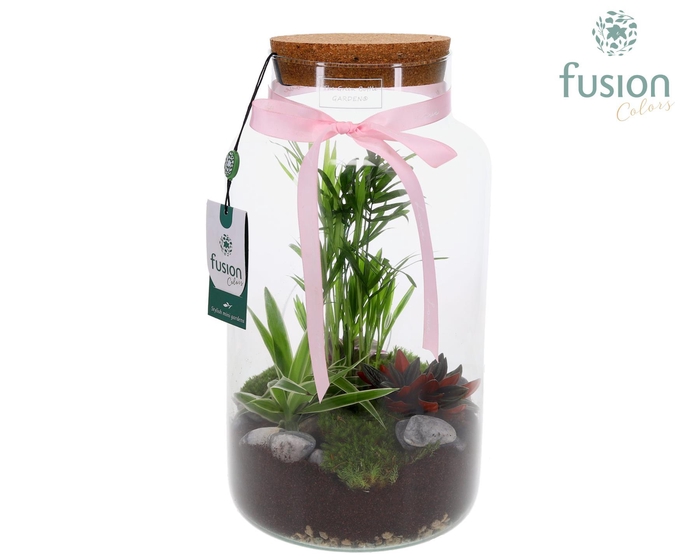 <h4>Green Bottle Pot Large Love met Arrangement</h4>