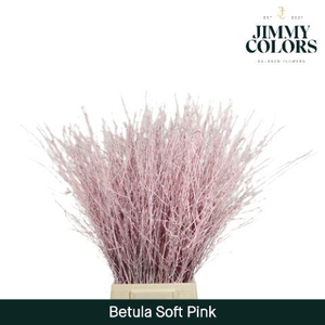 Betula L70 Soft Pink