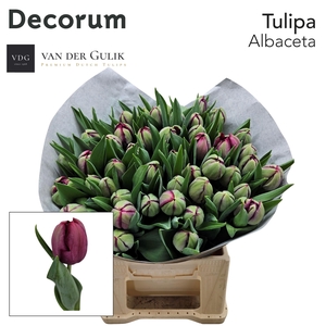 Albaceta Dubbel bordeaux rood zwaar