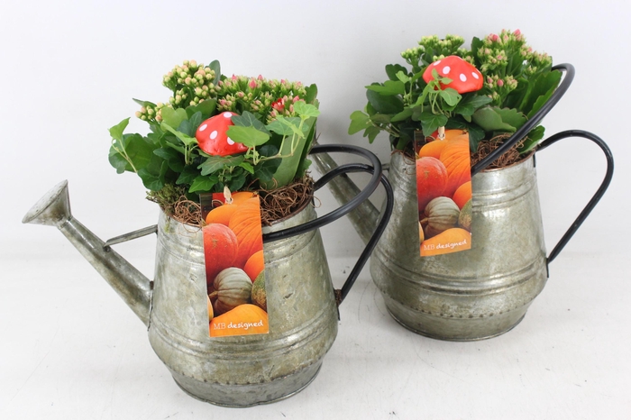 Arr2 Mb - Zink Gieter Green - Oranje/rood