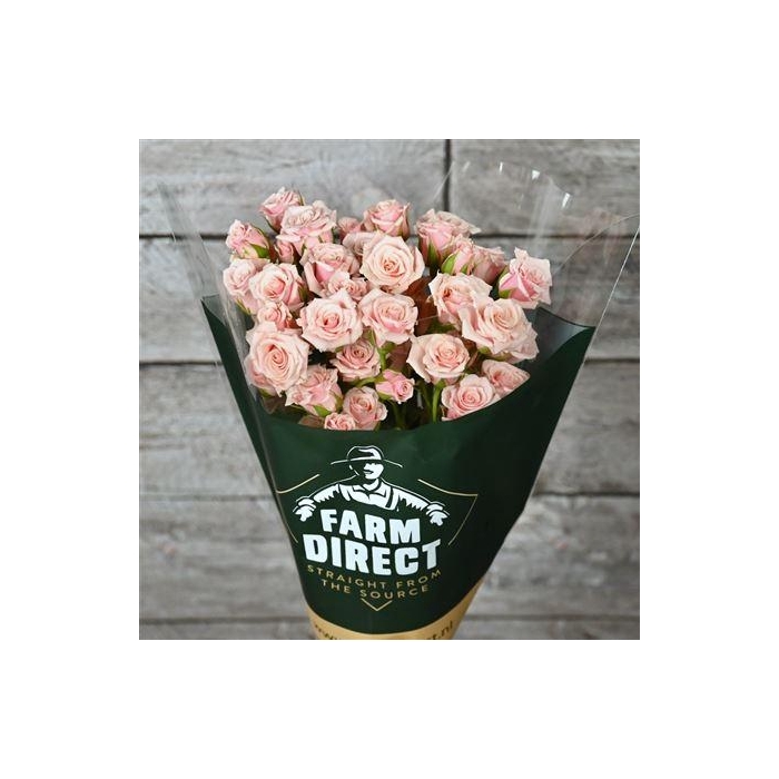 <h4>R Tr Good Mood</h4>